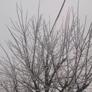 Meet your Posher, Halol